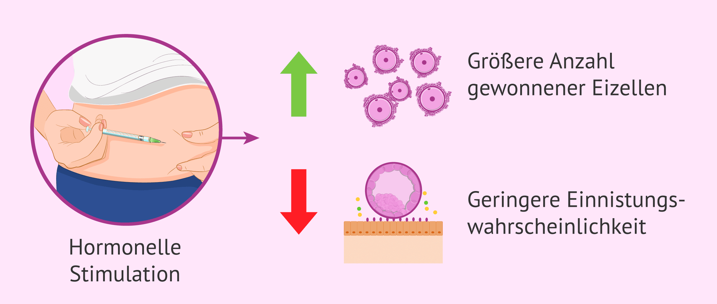 Sind die Einnistungsraten von eingefrorenen Blastozysten besser?