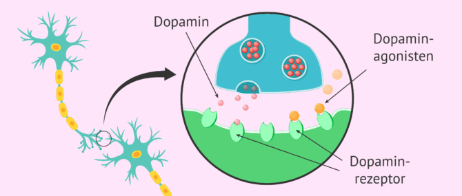 Imagen: Behandlung der Hyperprolaktinämie mit Dopaminagonisten
