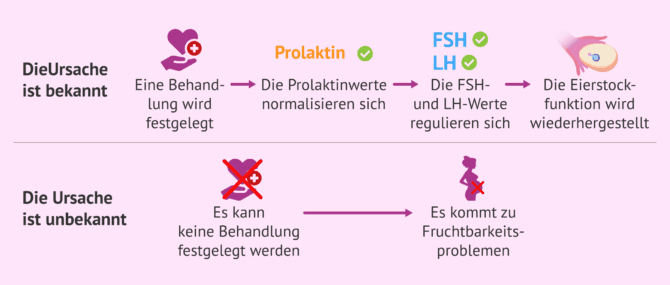 Imagen: Management der Hyperprolaktinämie und Auswirkung auf die Fruchtbarkeit