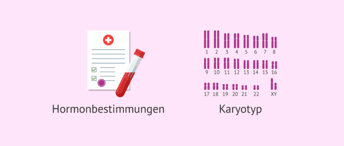 Imagen: Diagnostische Tests für beidseitigen Kryptorchismus