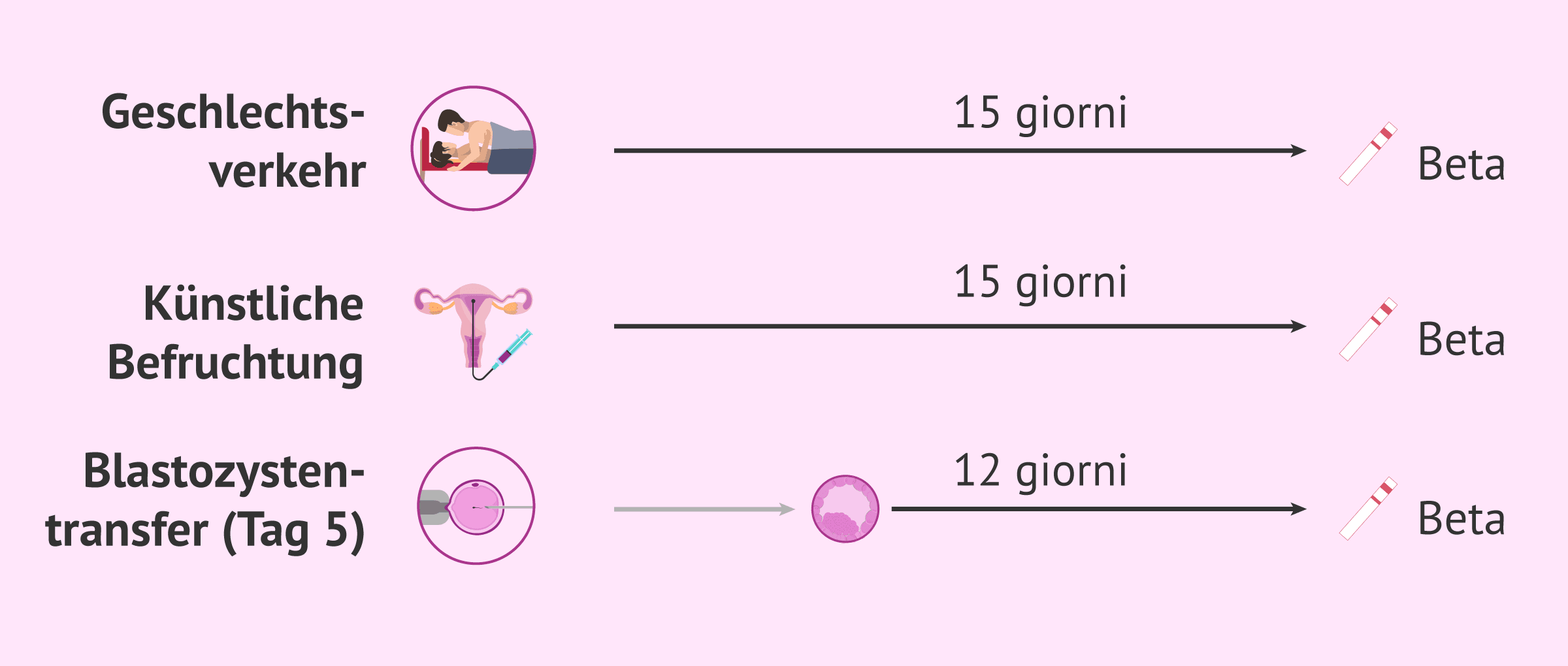 Imagen: Wann sollte man einen Schwangerschaftstest machen?