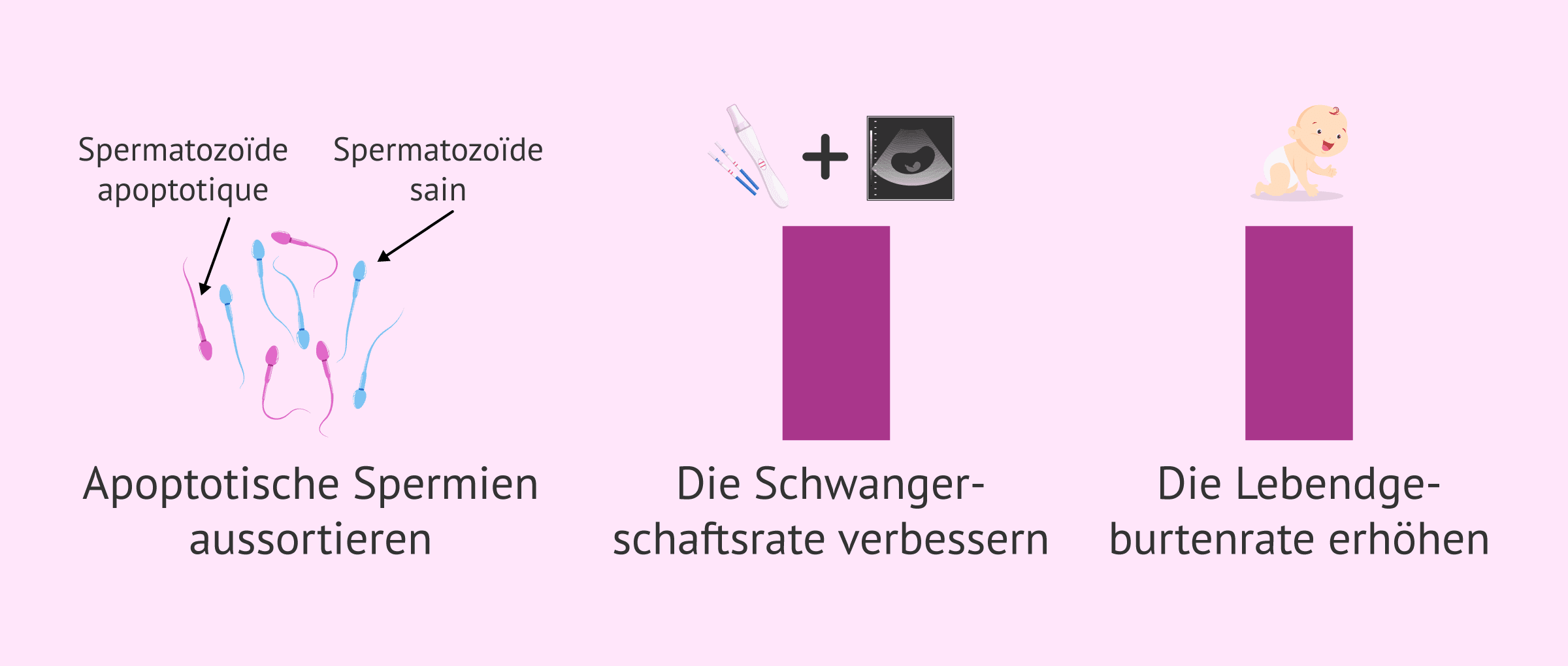 Imagen: Vorteile der Durchführung der MACS-Technik