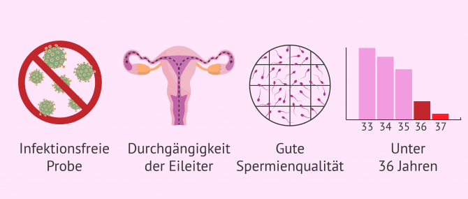Imagen: Anforderungen künstliche Befruchtung