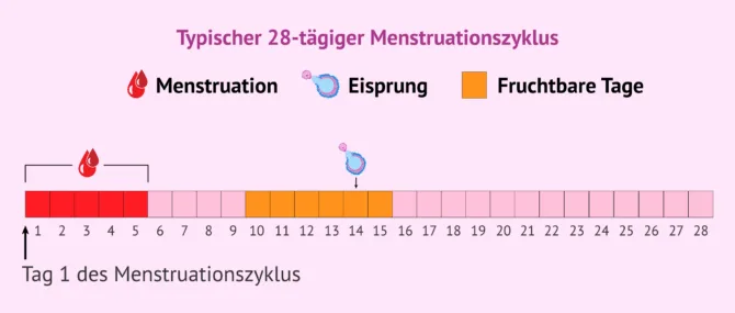 Wie kann man auf natrliche Weise schwanger werden? Wie kann man auf natrliche Weise schwanger werden?