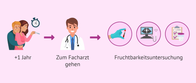 Imagen: Untersuchung der Fruchtbarkeit bei Paaren nach einer Zeit der Unfruchtbarkeit