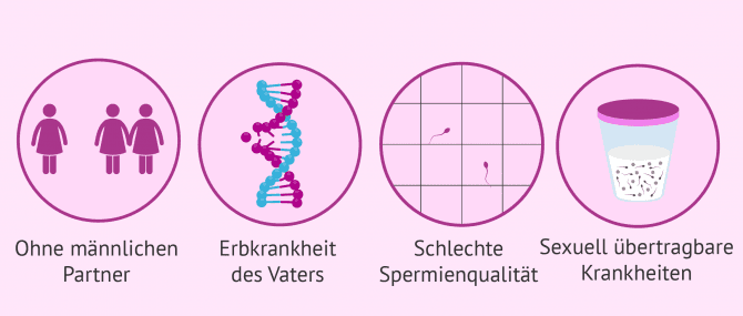 Imagen: Indikationen der künstlichen Befruchtung mit Spendersamen