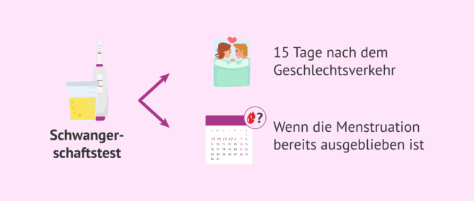 Imagen: Wann sollte ein Schwangerschaftstest gemacht werden?