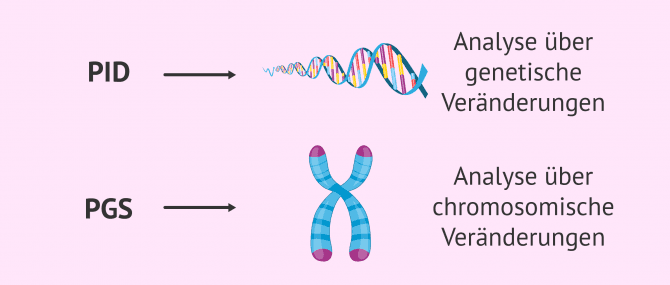 Imagen: Unterschied PID PGS