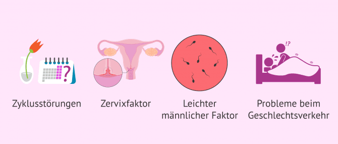 Imagen: Indikationen bei homologer Insemination