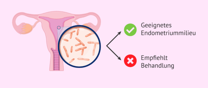 Imagen: Analyse des Endometrium-Mikrobioms