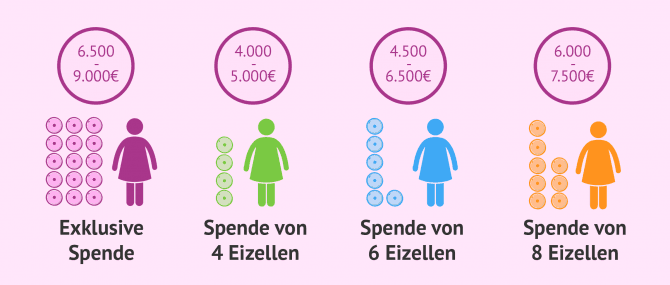 Imagen: Kosten einer IVF-Behandlung mit Ovodonation