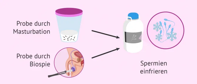 öl aufbewahren flasche Sweejar Keramik-Olivenöl-Spenderflasche, blickdichte Öl-Menage schützt Öl, um Oxidation zu reduzieren, geeignet für die Aufbewahrung von Öl, Kaffeesirup und anderen Flüssigkeiten, 1.467 ml (schwarz) Küche, Haushalt & Wohnen Volumen:50 Liter promotions@filter@drink mixes Körbchen, Utensilio, Aufbewahrung, Korb
