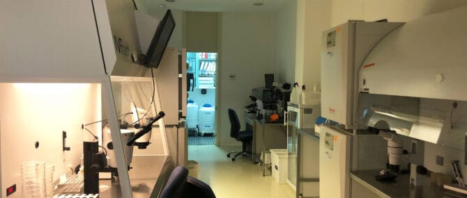 Imagen: IVF-Labor bei Next Fertility Murcia