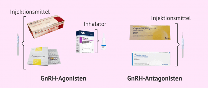 Imagen: GnRH-Medikamente: Agonisten und Antagonisten