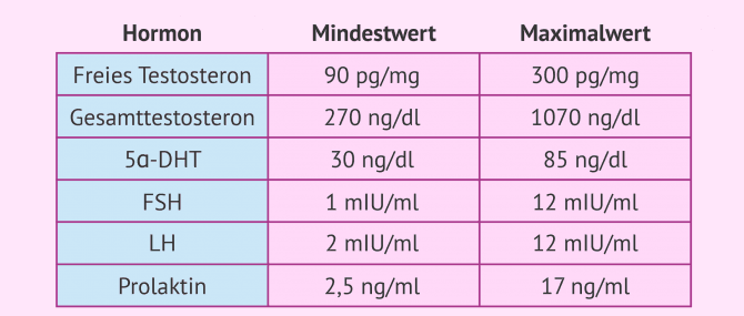 Imagen: Normalwerte bei Männern