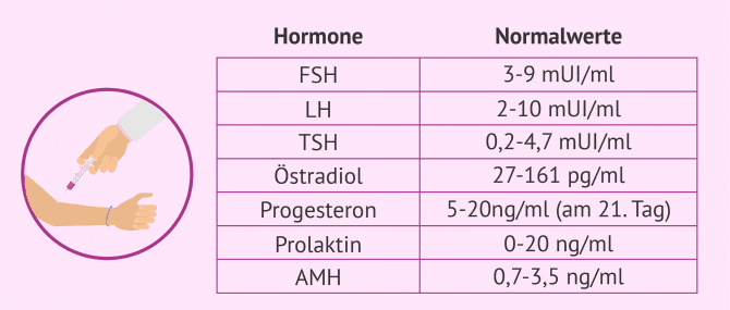 Imagen: Normalwerte weiblicher Hormone