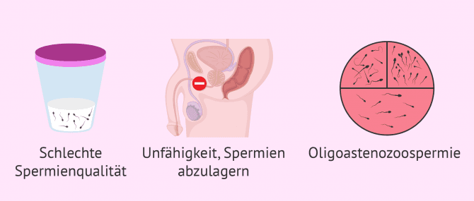 Imagen: Indikationen bei homologer IUI bei Sterilität bei Männern