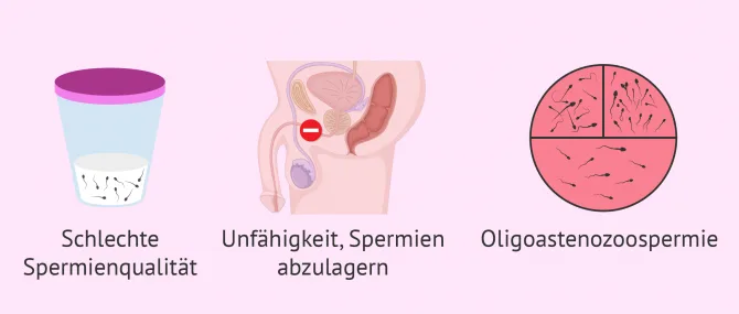 Welche Indikationen gibt es fr eine knstliche Befruchtung?