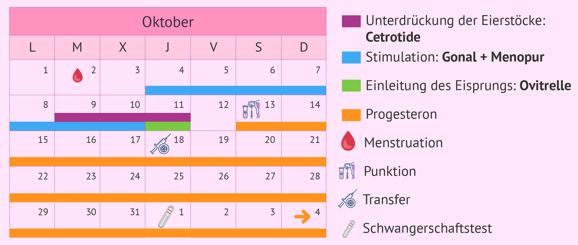 Kalender für ein kurzes Stimulationsprotokoll