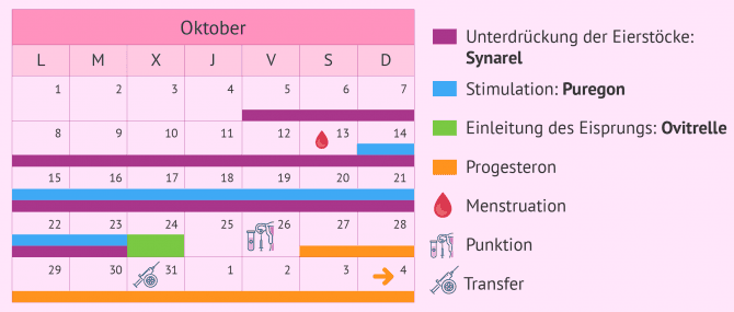 Imagen: Kalender für eine lange Stimulation