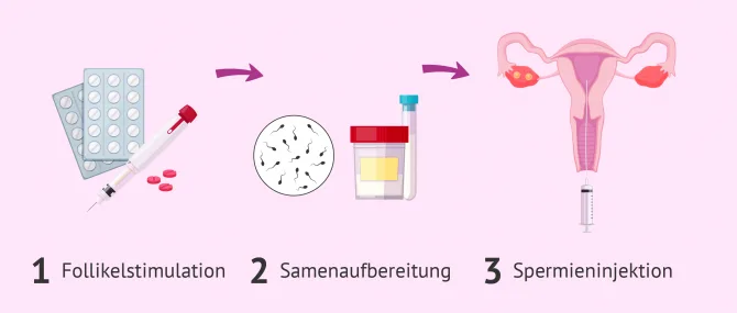 solarlicht blumenkasten Solar Stableuchten Blumen, Bienen & Schmetterlinge