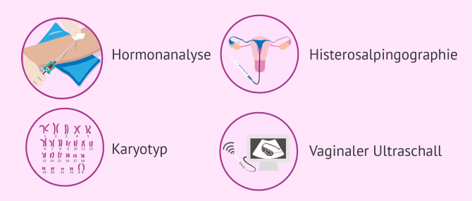 Imagen: Studie zur weiblichen Fertilität