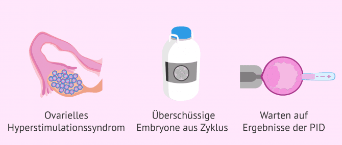 Imagen: Wann werden Embryone vitrifiziert?