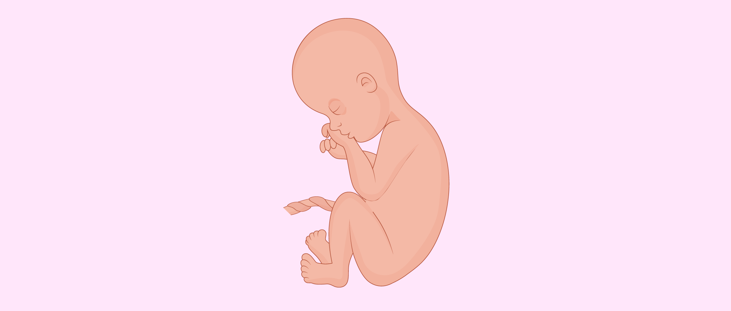 7. Schwangerschaftsmonat