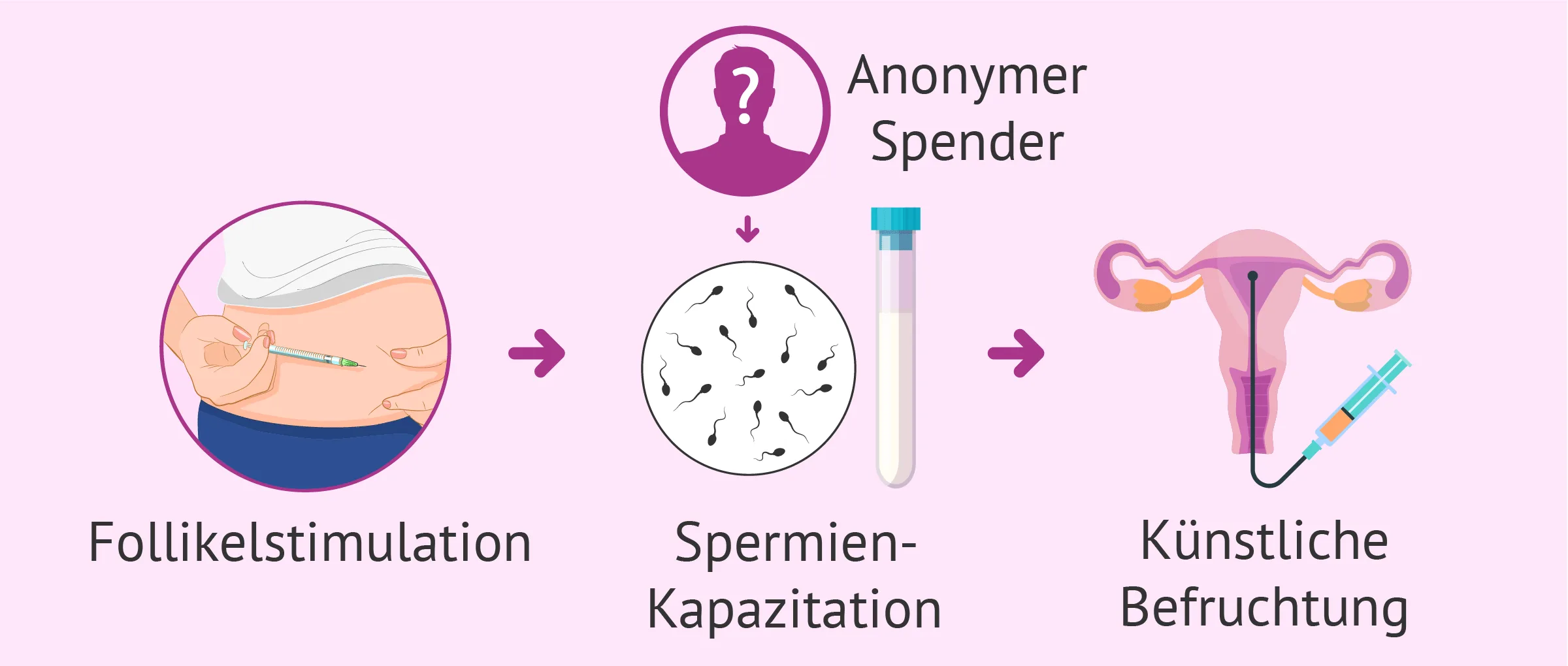 sachbuch künstliche intelligenz PhänoMINT Künstliche Intelligenz main image 0