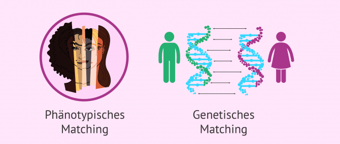 Imagen: Phänotypisches und genetische Matching der Gametenspender