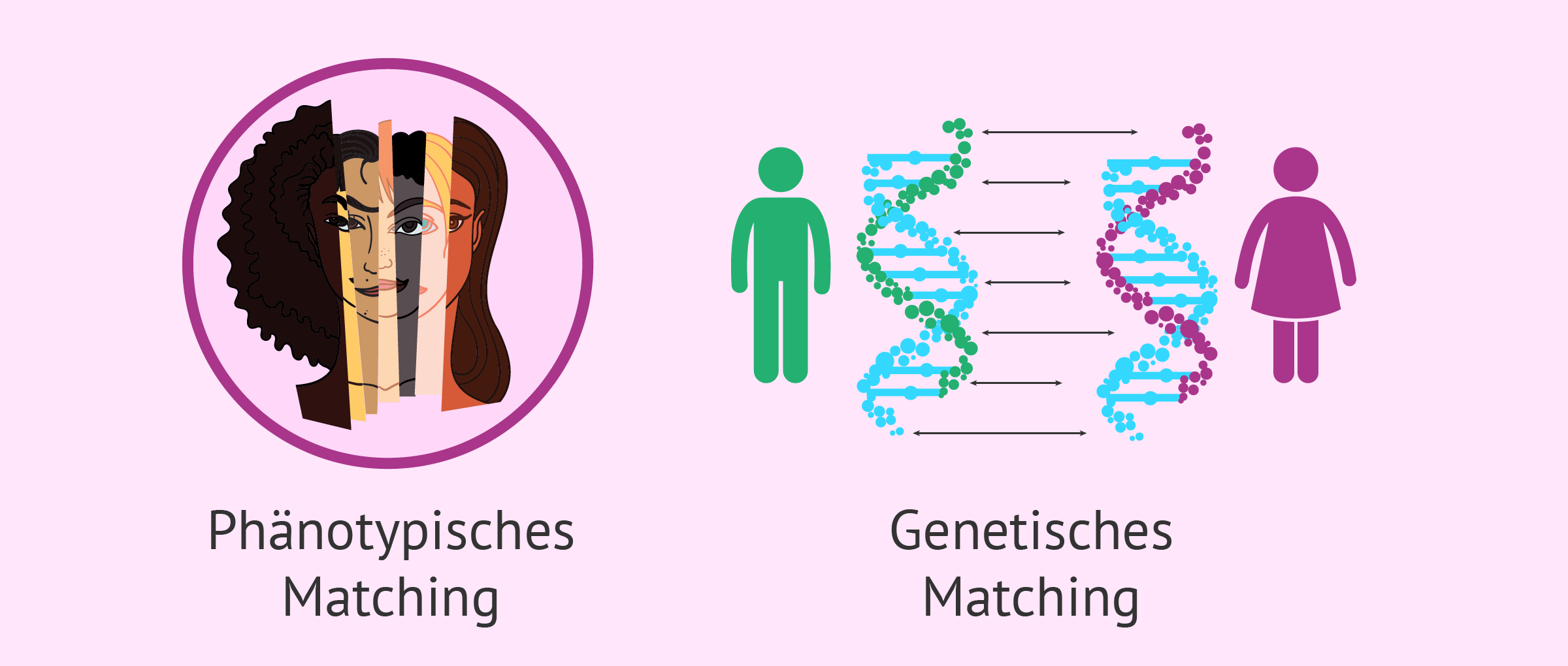 Phänotypisches und genetische Matching der Gametenspender