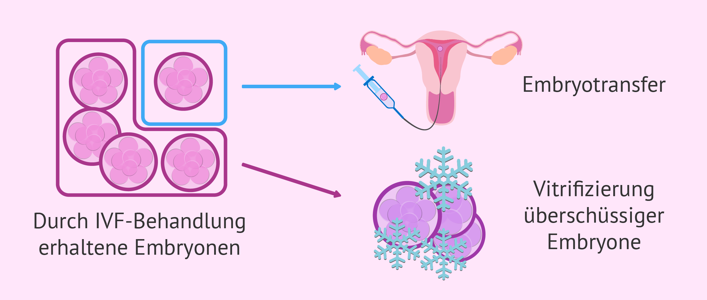 Überschüssige Embryone verglasen