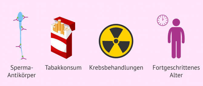Imagen: Ursachen Astenozoospermie