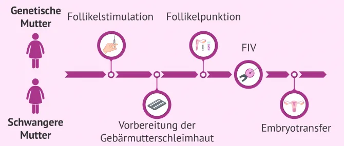 schilf blumenkasten Blumenkbel "Rosalina"