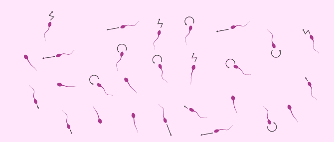 Imagen: Spermienbeweglichkeit