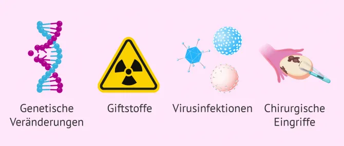 knstliche ahornbltter Ahornbltter knstlich 10er Packung  Patjess