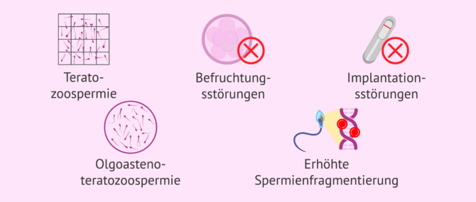 Imagen: Anweisungen des IMSI