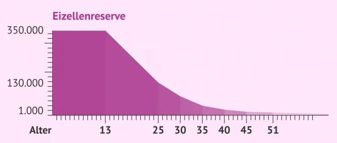 Imagen: Entwicklung der Eizellenreserve im Alter