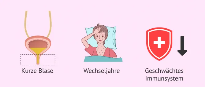 Harnwegsinfektionen: Ursachen, Symptome und Behandlung