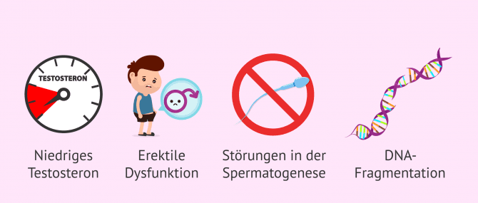 Imagen: Auswirkungen von Übergewicht bei männlicher Fertilität