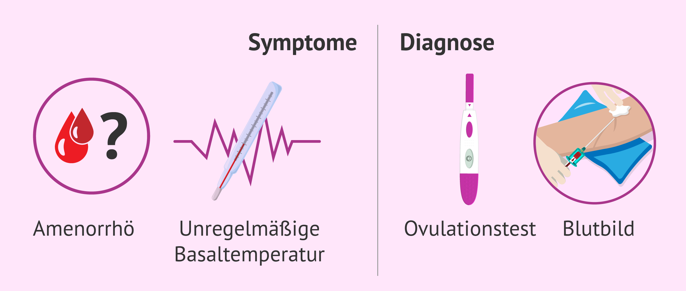 Symptome und Diagnose bei Anovulation