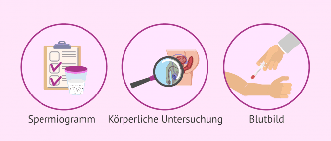 Imagen: Untersuchungen bei männlicher Infertilität