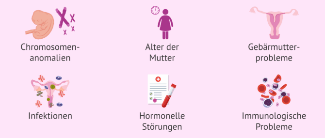 Imagen: Warum kommt es nach einer IVF zu Fehlgeburten?