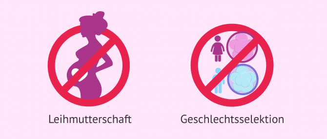 Imagen: Leihmutterschaft und Geschlechtsselektion in Spanien