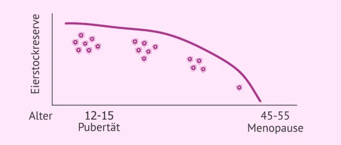 Imagen: Abnahme der ovariellen Reserve mit dem Alter