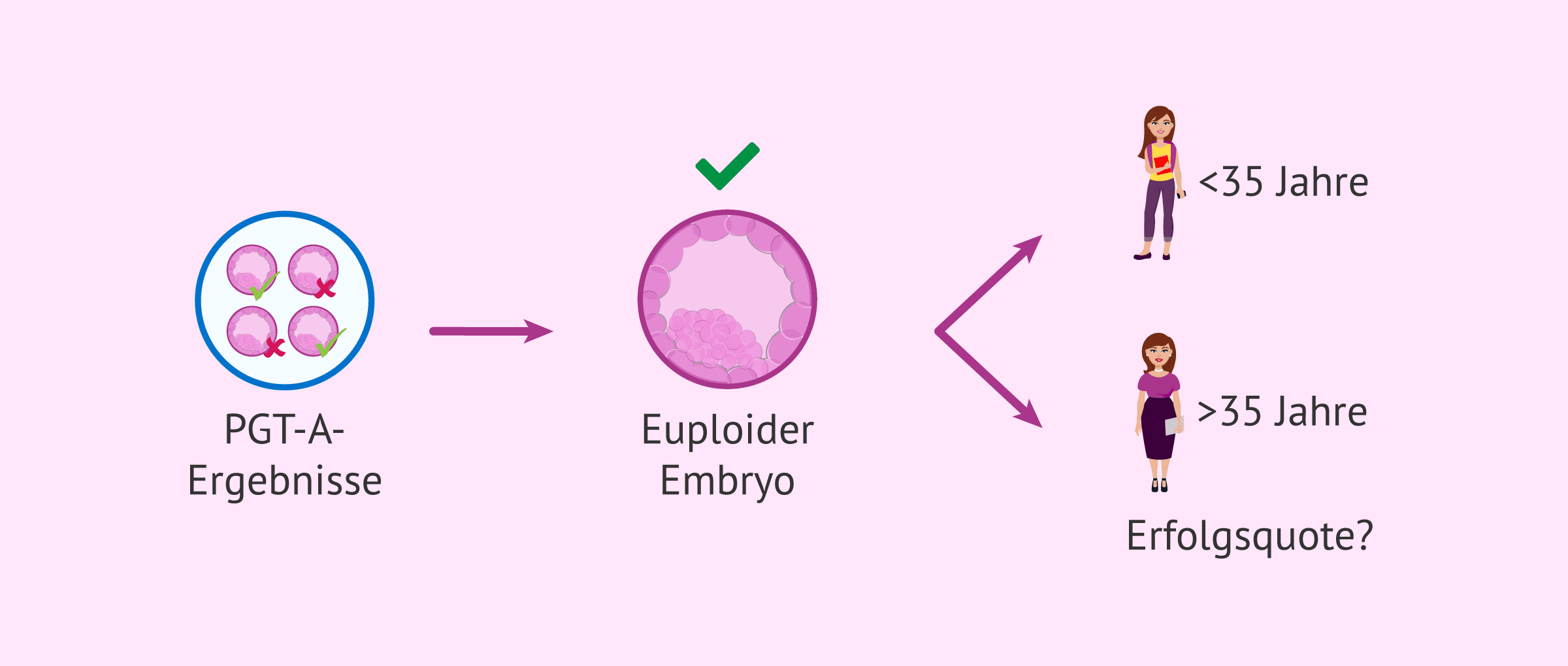 IVF mit euploiden Embryonen: Hat das Alter der Mutter Einfluss auf den Erfolg?