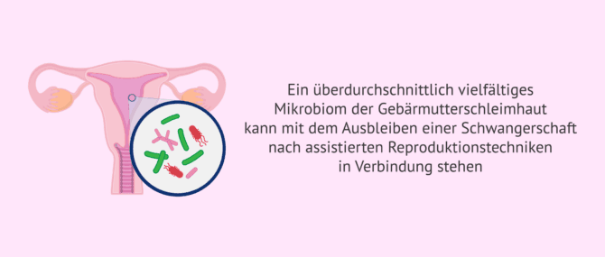Imagen: Wie kann das endometriale Mikrobiom die Embryonenimplantation beeinflussen?