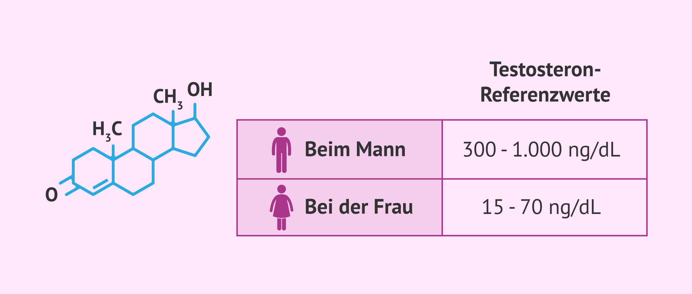 Imagen: Normale Testosteronwerte im Blut