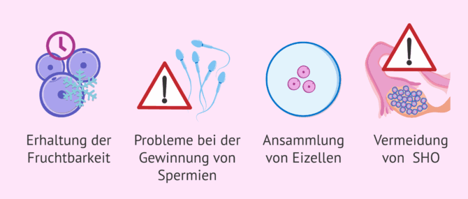 Imagen: Wann wird eine IVF mit gefrorenen Eizellen empfohlen?