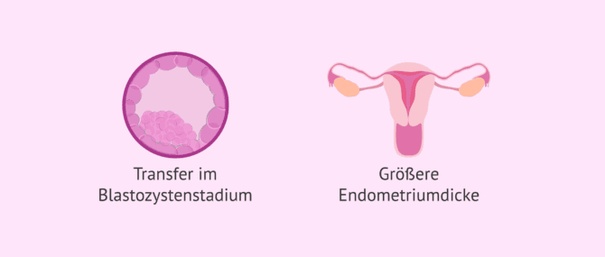 Imagen: Strategien bei Implantationsversagen